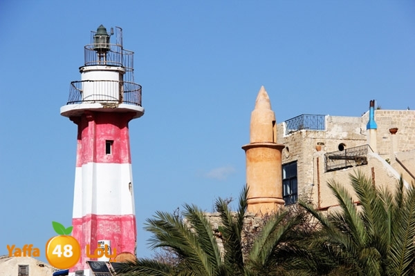 mina2 yaffaj343 (9).JPG